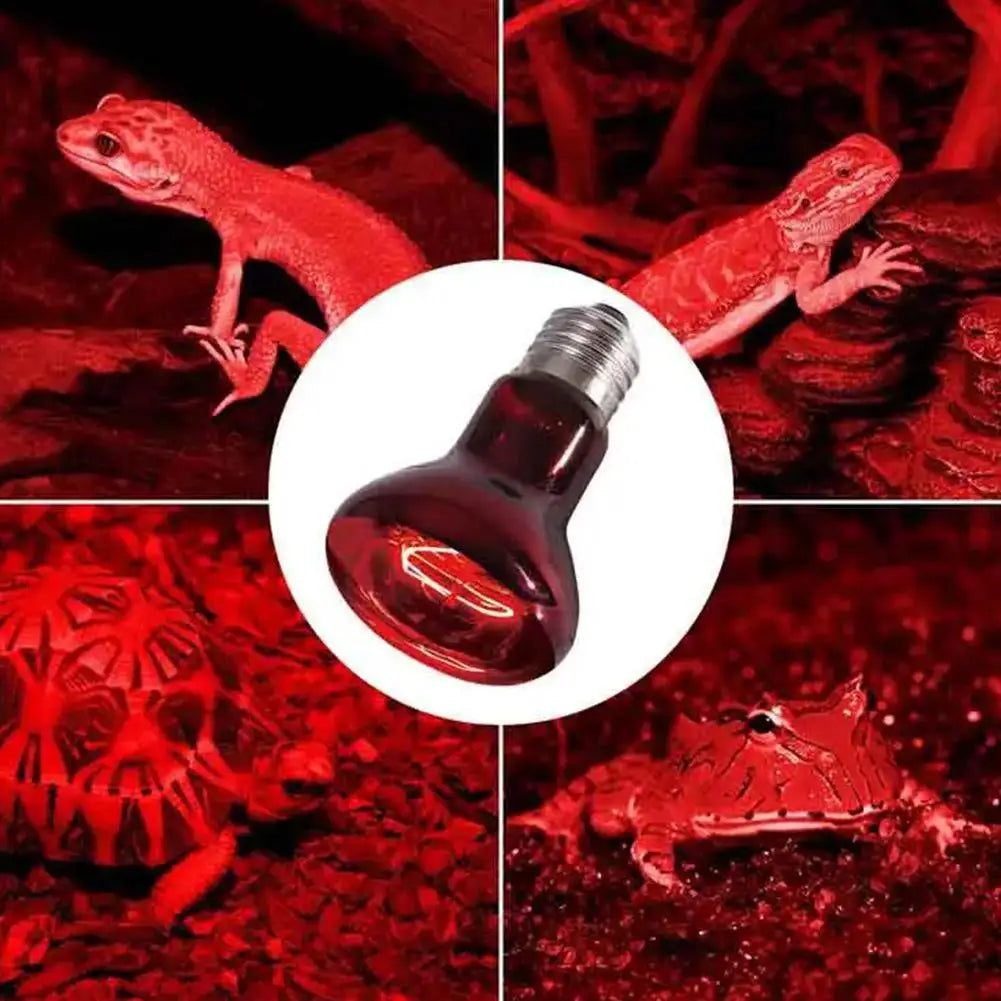 Amphibian Reptile Heating Lamp E27 Poultry Heating Bulb Pet Turtle Terrarium Snake Bulb Light 25W-100W 220-240V