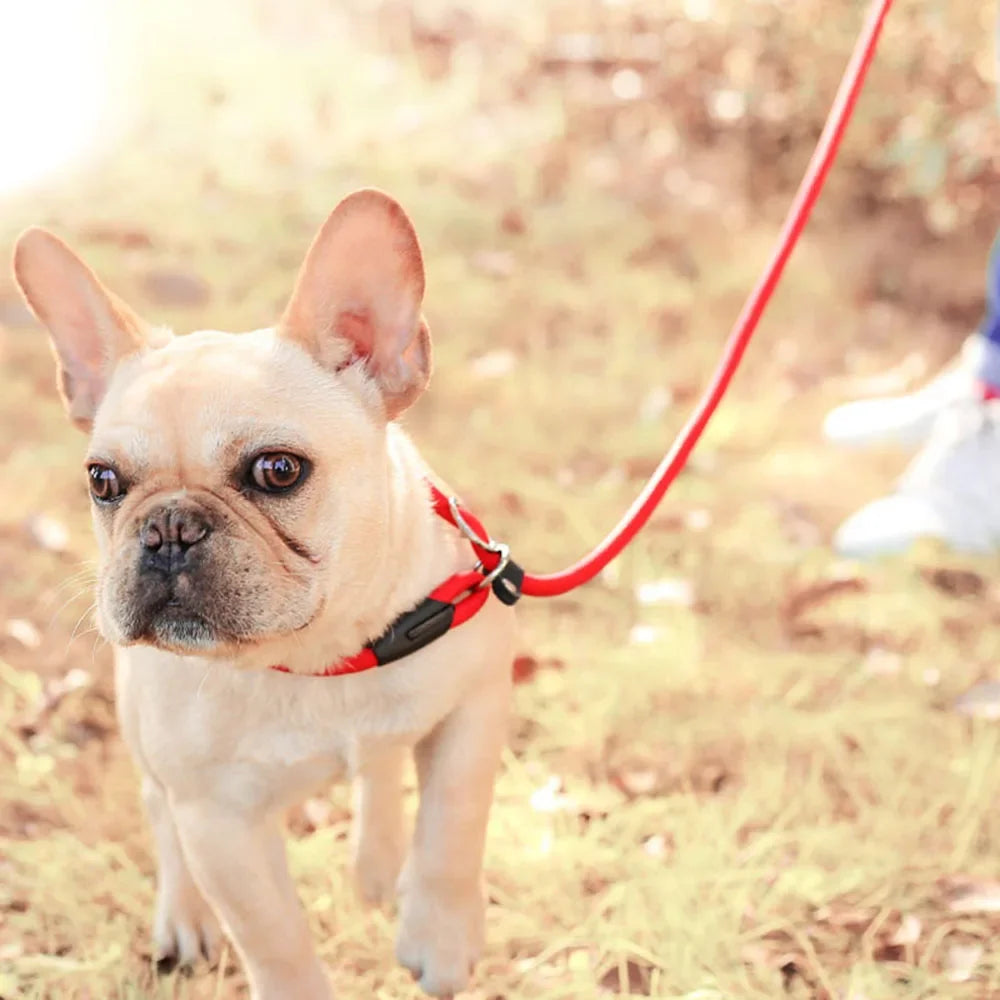 Dog Leash Slip Chains Collar Leads Strong Heavy Duty Nylon Rope No Pull Pet Training Leash for Small Dogs Puppy Traction Rope
