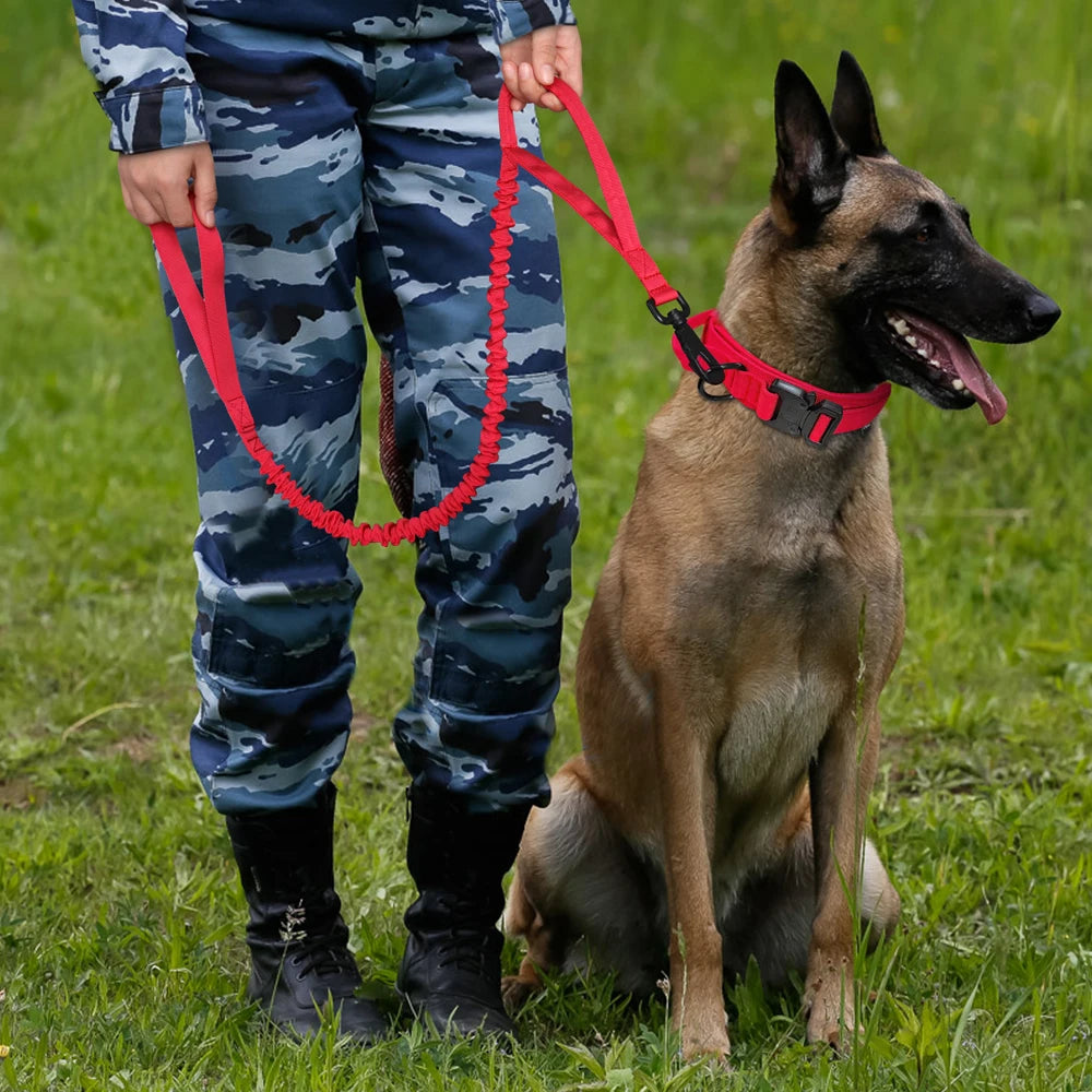 Durable Military Tactical Dog Collar Bungee Leash Set Pet Nylon Walking Training Collar For Medium Large Dogs German Shepard