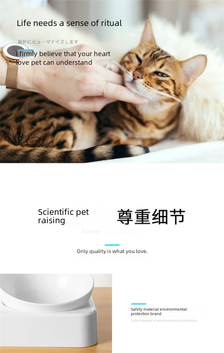 Double Bowl Automatic Watering Pet Anti-overturn Rice Plastic Cat Dog Food Bowl Cats Dogs Pet Tableware