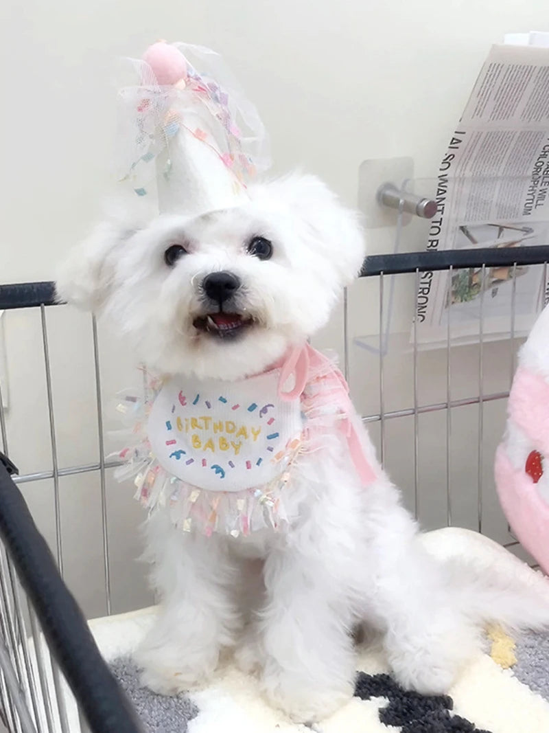 Pet Cat Dog Birthday Party Lace Suit Hat Scarf Dog Bib Saliva Towel Mesh Series Bear Birthday Jewelry Dress Up Accessories