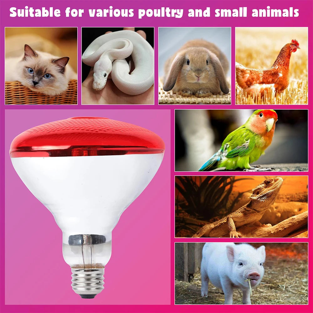 220V Poultry Heat Lamp Bulb Infrared Ray Thermal Preservation Heating Service For Reptile Botany Amphibian Pet Livestock200/275W