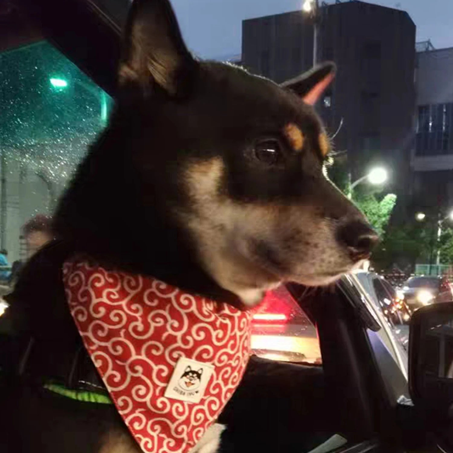 Dog Accessories NEW Pet Dog Bandana Collar Dog Collar Neckerchief Cute Puppy and Shiba Inu Printed Triangle Neck Scarf Saliva