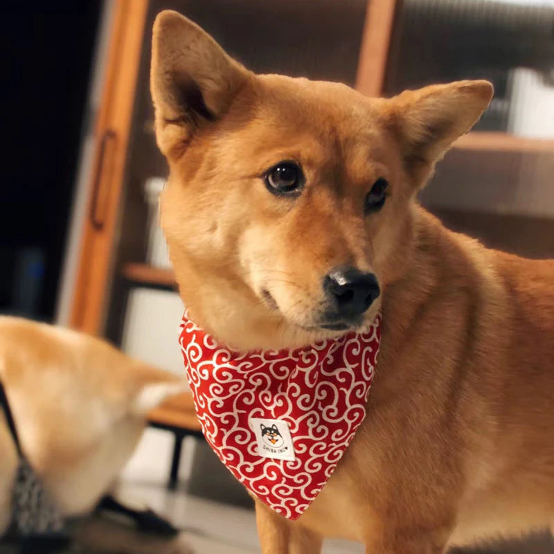 Dog Accessories NEW Pet Dog Bandana Collar Dog Collar Neckerchief Cute Puppy and Shiba Inu Printed Triangle Neck Scarf Saliva
