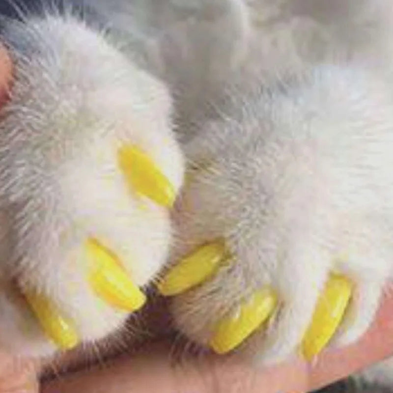 20 PCS/lot New FASHION Colorful Cat Nail Caps Soft Cat Claw Soft Paws with Free Adhesive Glue Size XS-L Gift for Pet Dog