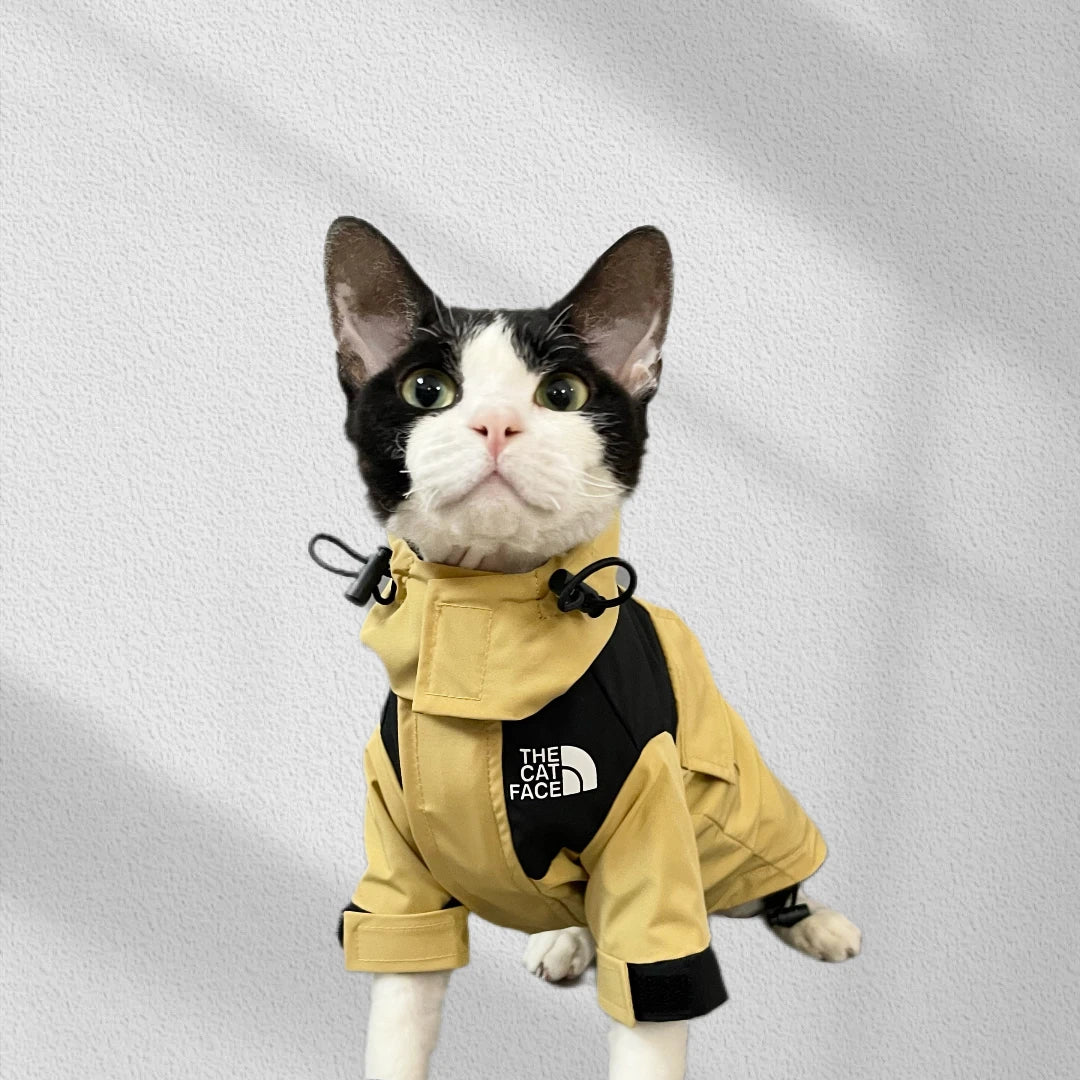 Fashion Cat Face Interchange for Sphynx Cat Coat Long Sleeves for Devon Rex Waterproof Windproof Coat for Kittens Cat Supplier