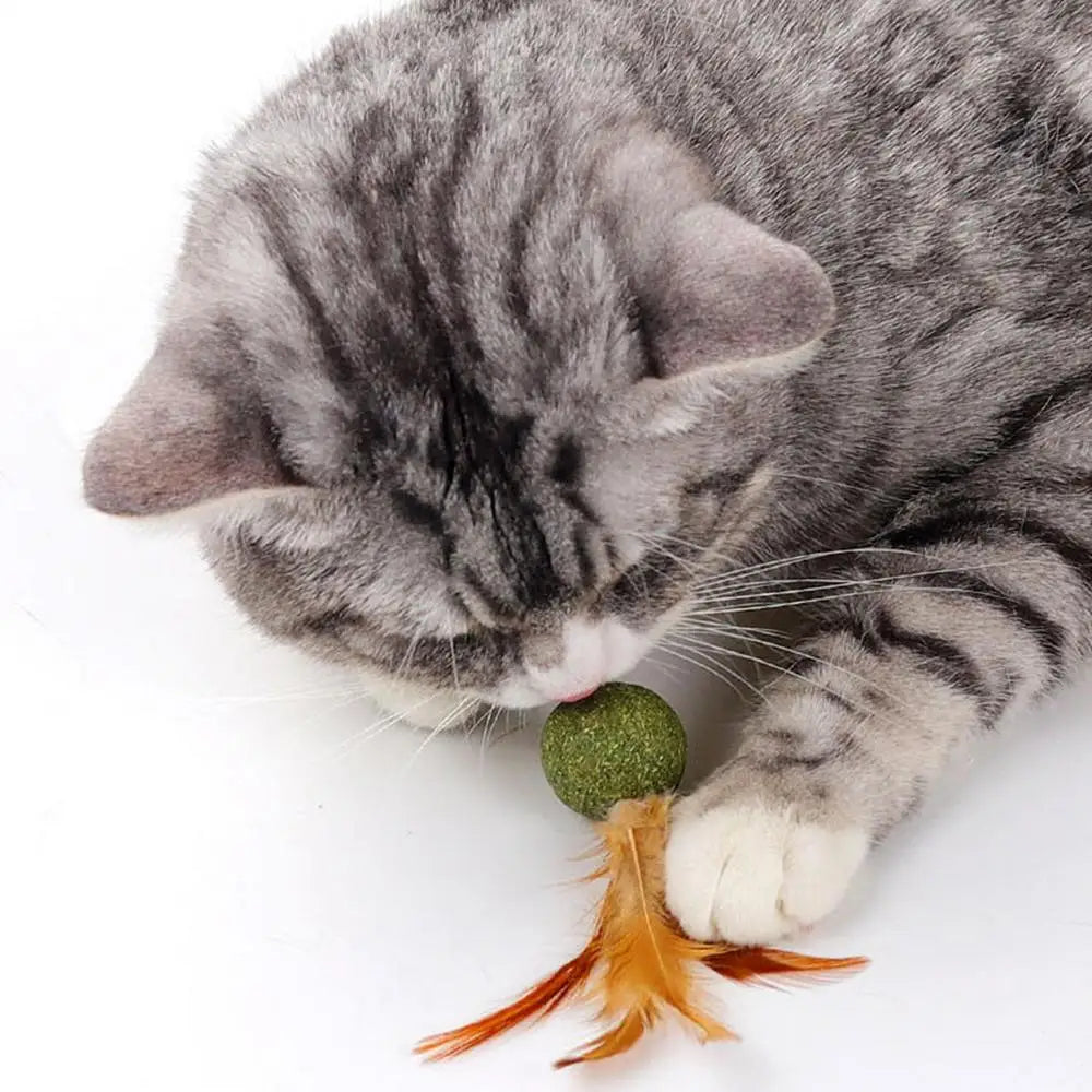 Natural Catnip Feather Balls Lickable Cat Grass Snack Kitten Scratchers Toy Treats Chewing Fresh Breath Cat Toys Cat Treats