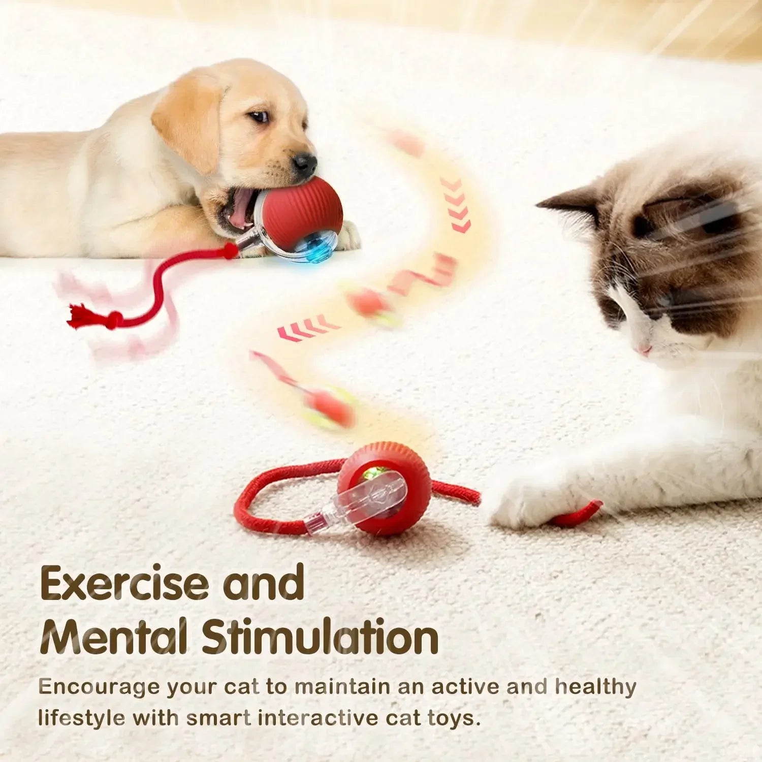 Cat Toys for Kitten Cats Ball Toys Pet Product Cat's Accessories for Home Automatic Electronic Indoor Interactive Cat Pet Toy