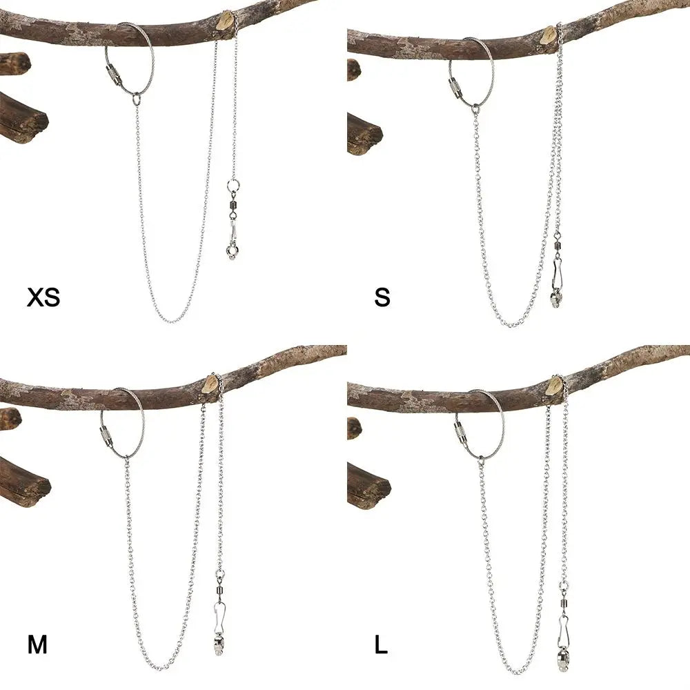 Bird Parrot Foot Chain Stainless Steel Ankle Foot Ring Stand Chain Outdoor Flying Training Bird Accessories 4 Size