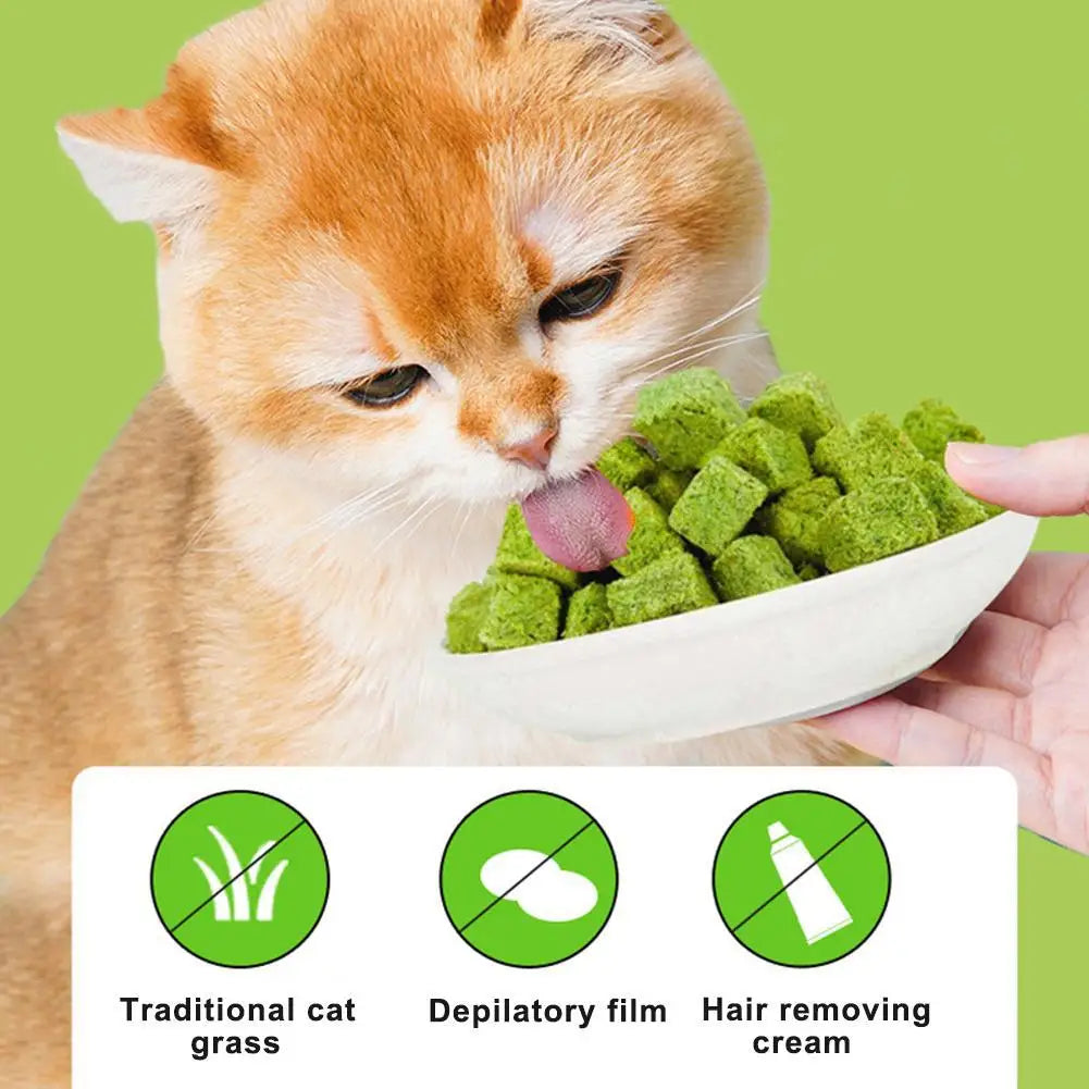 Catgrass Grain Freezedried Cat Snack Row Furry Hairball Catgrass Teeth Tablets Biscuits Pieces Catgrass Grinding N2Z1