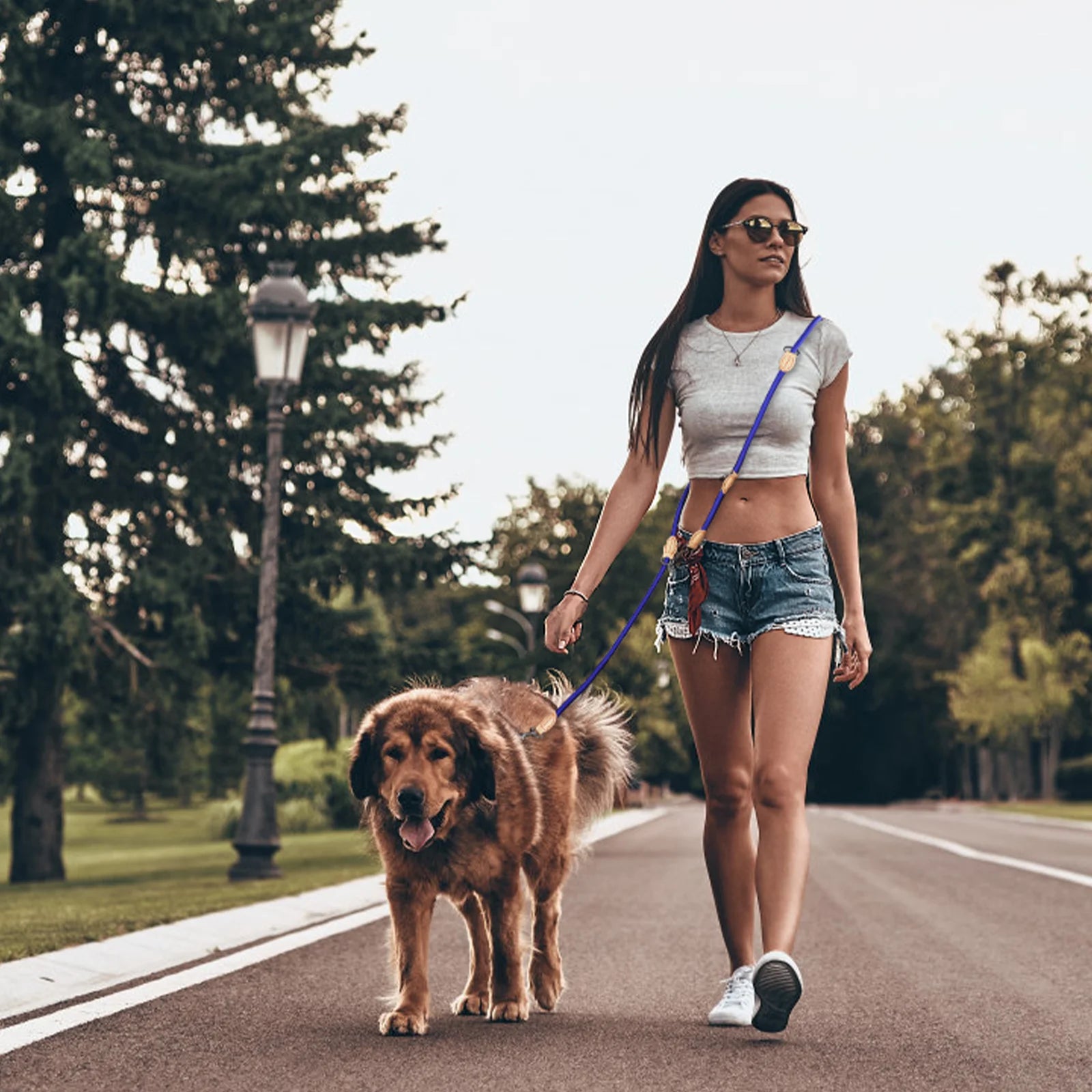 210cm Multipurpose medium size Dog Double Leash Leashes Adjustable And Nylon Luxury Hands Free Small Dog Leash For 2 Dogs