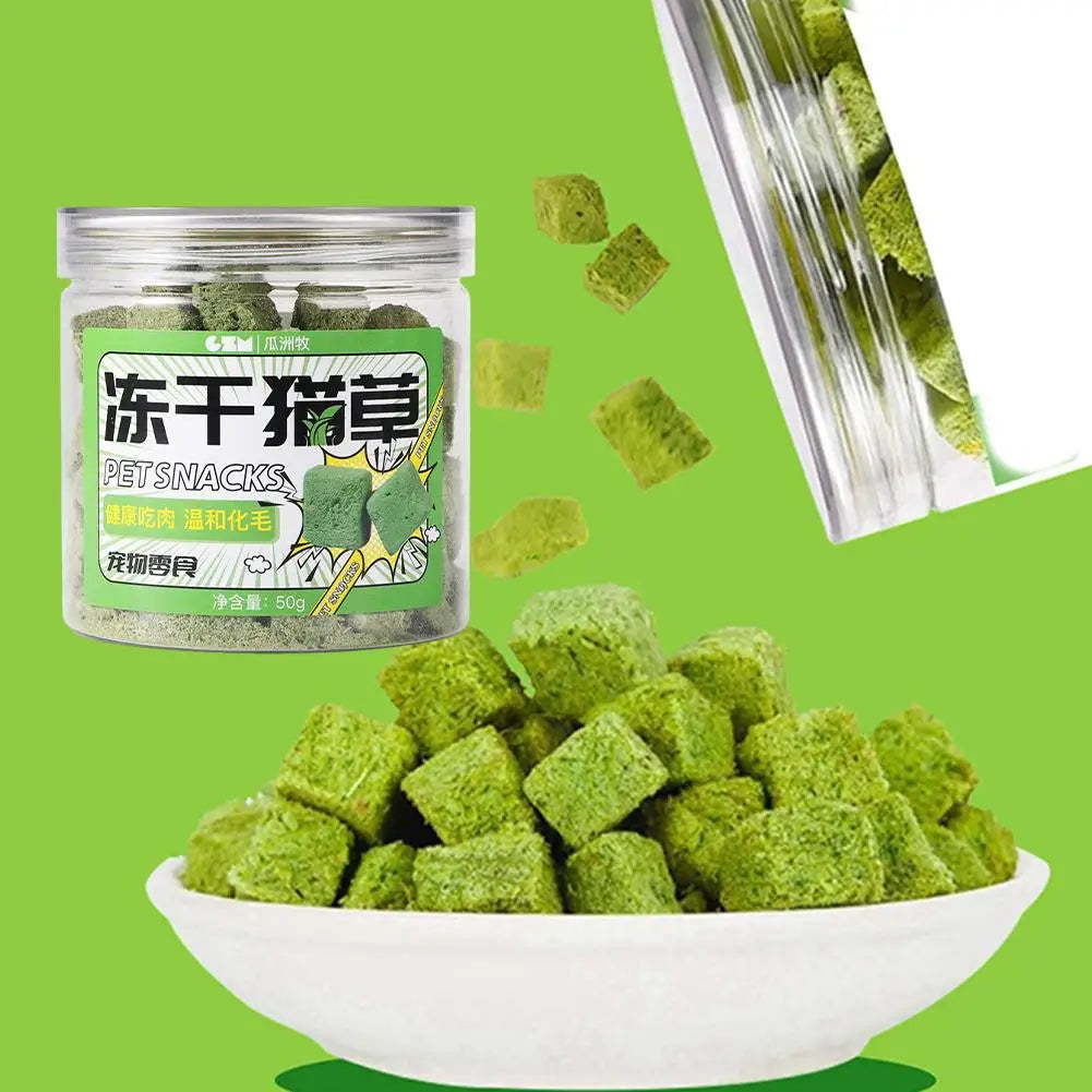 Catgrass Grain Freezedried Cat Snack Row Furry Hairball Catgrass Teeth Tablets Biscuits Pieces Catgrass Grinding N2Z1