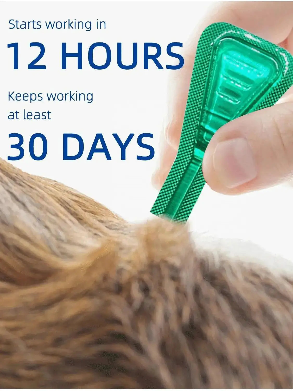 Economical 3 tube one Box Flea Drops Itching Relief Outdoor Mosquito, Mites and Flea Repellent Drops I Large Size Dogs