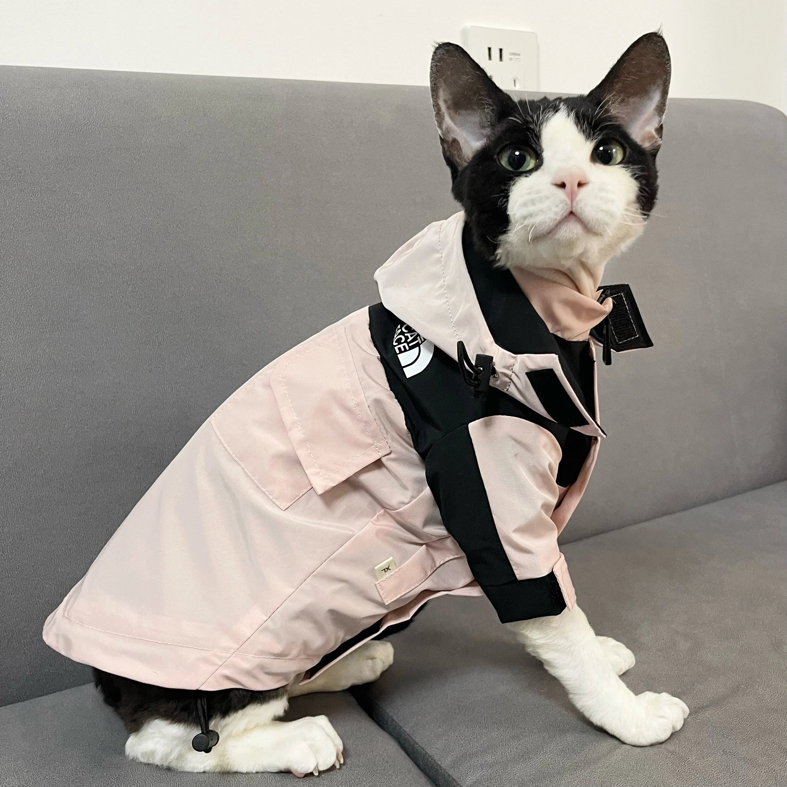 Fashion Cat Face Interchange for Sphynx Cat Coat Long Sleeves for Devon Rex Waterproof Windproof Coat for Kittens Cat Supplier