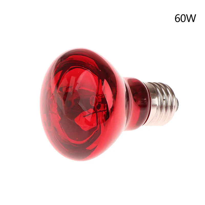 25/40/50/60/75/100W E27 UVA Poultry Bulb Infrared Night Light Day Poultry Heating Bulb For Plants Amphibians Reptile Pets