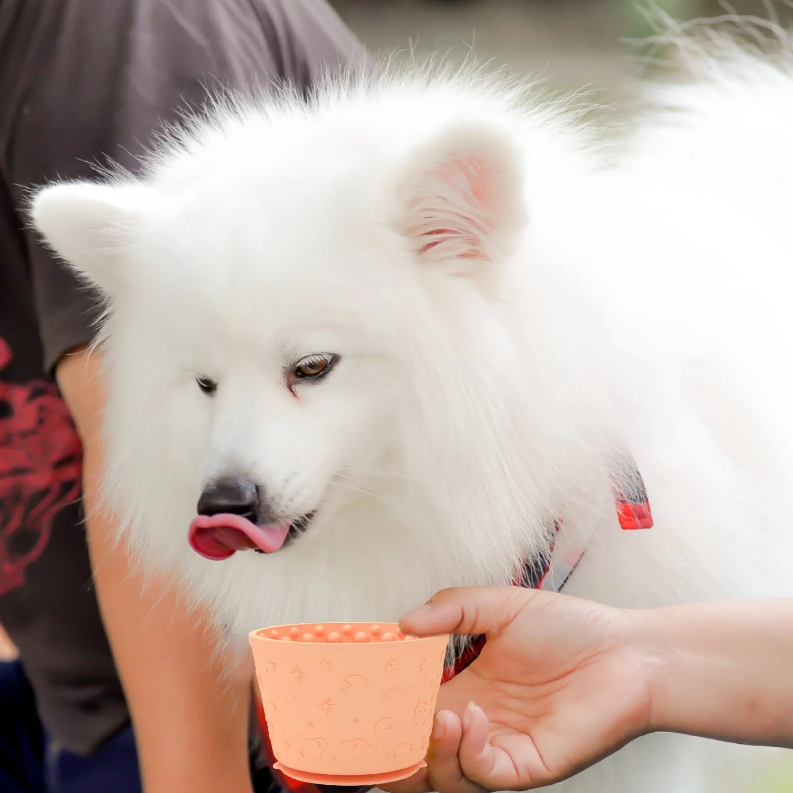 Dog Lick Bowl, Anxiety Relief Dog Licking Mat Freezer Treat Dispenser, Non-Slip Anti-Choking Silicone Slow Feeder Bowl for Dogs