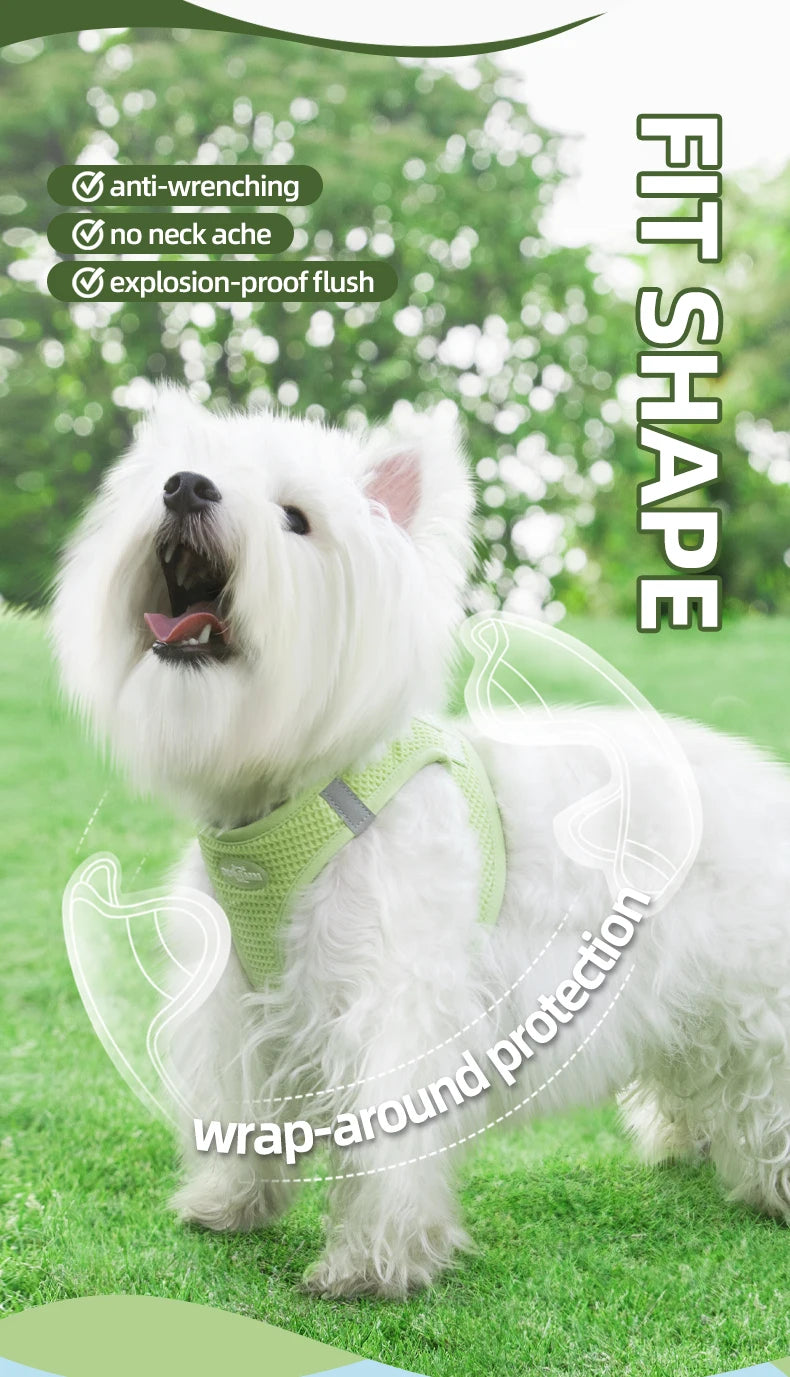 Puppy Cat Harness with Leash Breathable Waffle Pet Vest Clothes for Small Mid Dogs Cats Harness Collar Yorkshire Dog Accessories