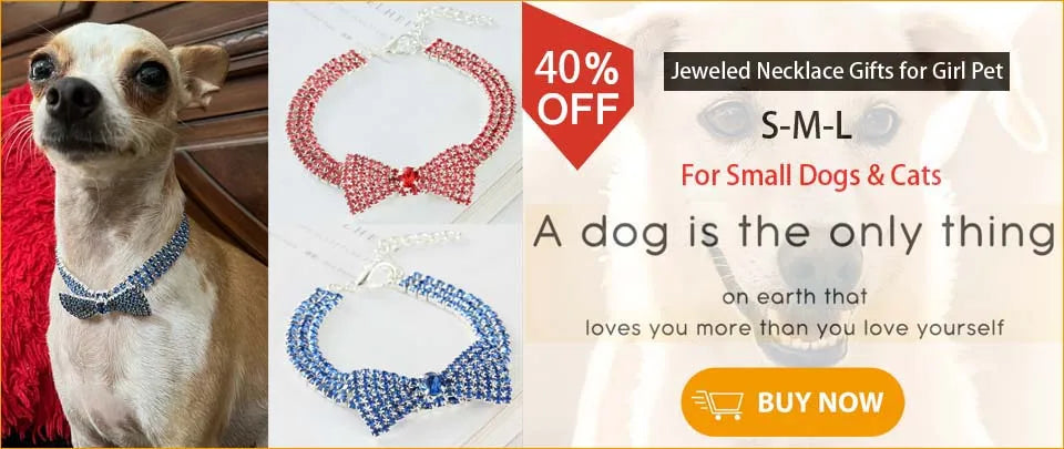 Short Explosion-Proof Pull Dog Chain, Traction Belt, Hand Made Leash, Spring Buffer, One Step Lead Rope for Medium and Large Dog