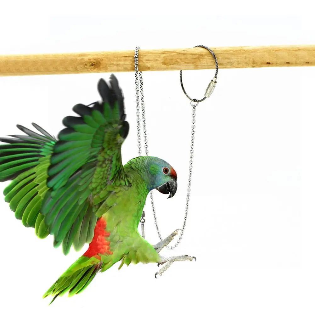 Bird Parrot Foot Chain Stainless Steel Ankle Foot Ring Stand Chain Outdoor Flying Training Bird Accessories 4 Size