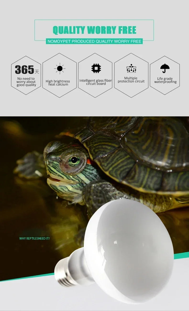 100W Reptile Heating Lamp E27 Ceramic UVB Turtle Lizard Ultraviolet Light Bulb Amphibians Terrarium Lighting Supplies