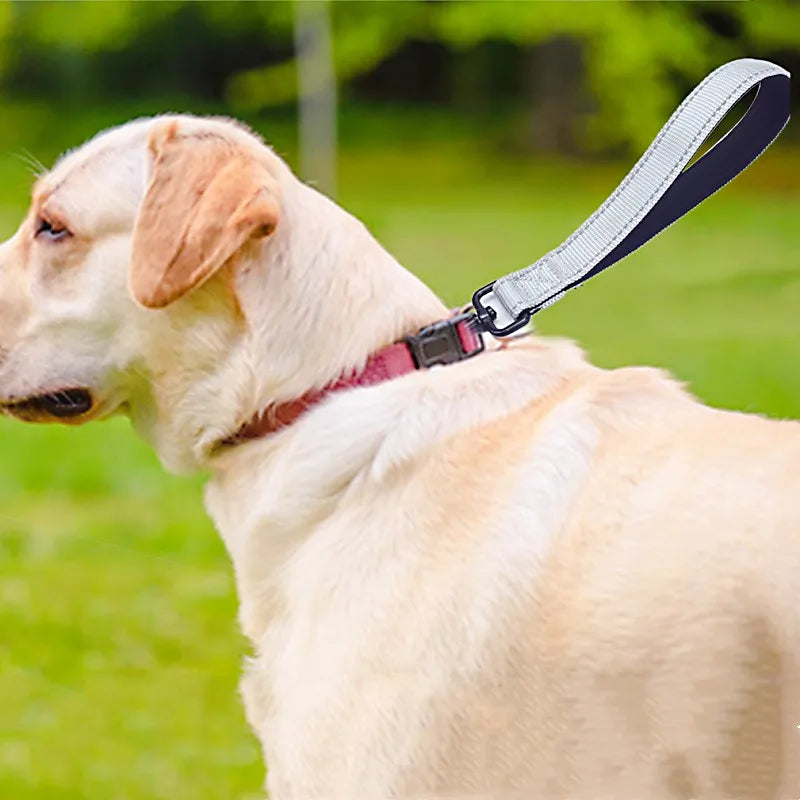 Dog Leash 25cm Dogs Leashes Reflective Short Leash for Medium Large Dog Walking Soft Padded Handle Dogs Leashes Short Pet Chain