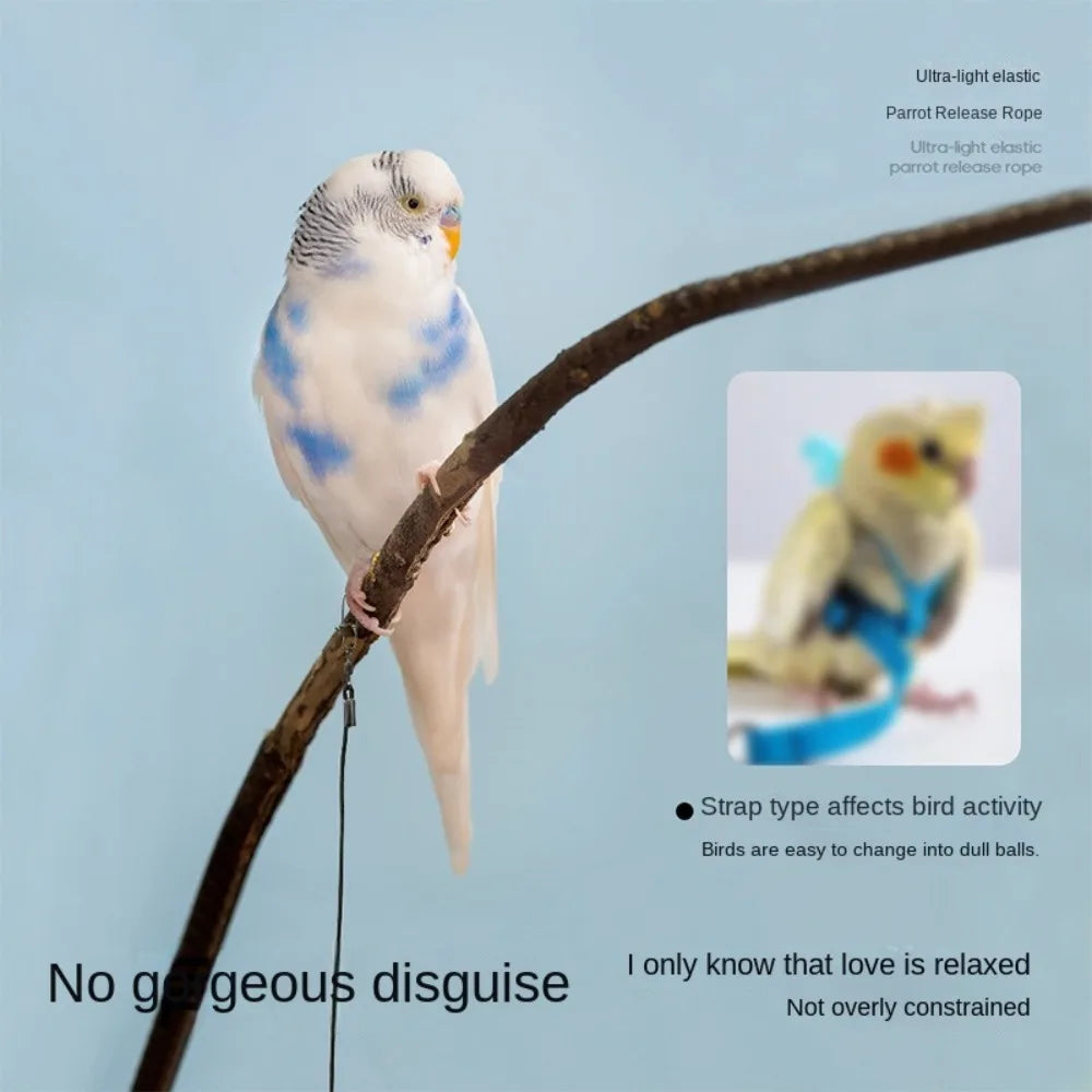 Elastic Parrot Traction Rope Metal Buckle Anti-flying Parrots Training Leash Lightweight Multiple Size Bird Foot Chain for Birds
