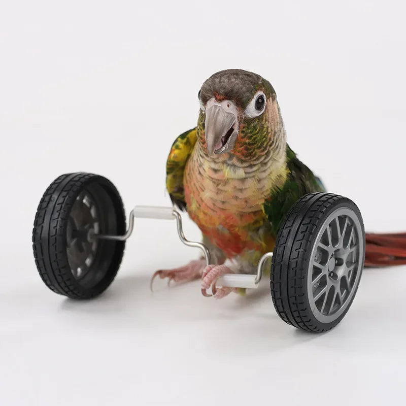 Parrot Balance Birds Intelligence Training Interactive Toy Mini Bicycle Wheels Roller for Small Medium Birds Pet Supplies Toys