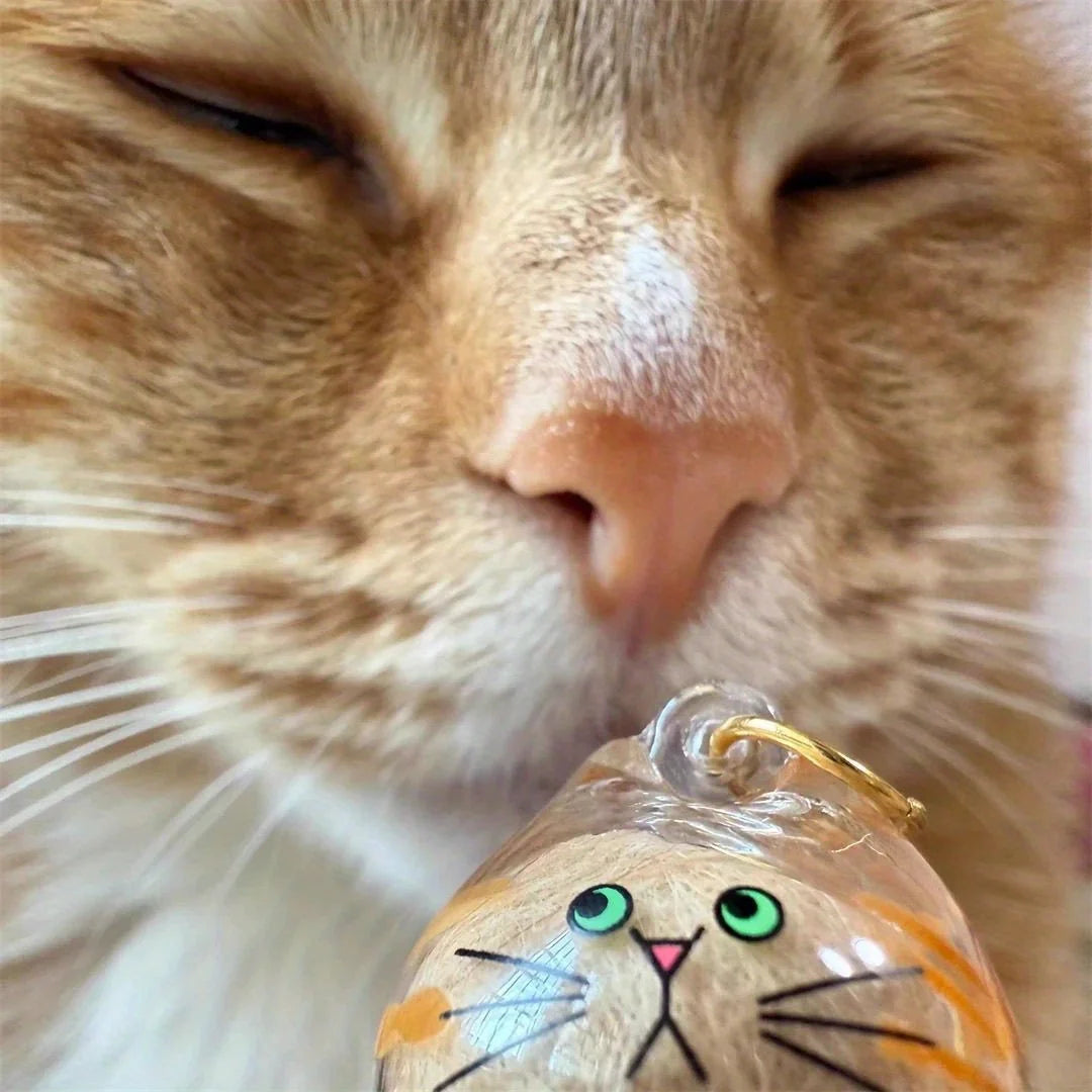 1/3pcs Transparent Cat Memorial Capsules Pet Hair Keepsake Box with Hanging Loop for Cat Lovers Gift Pendant Keychain Pet Access