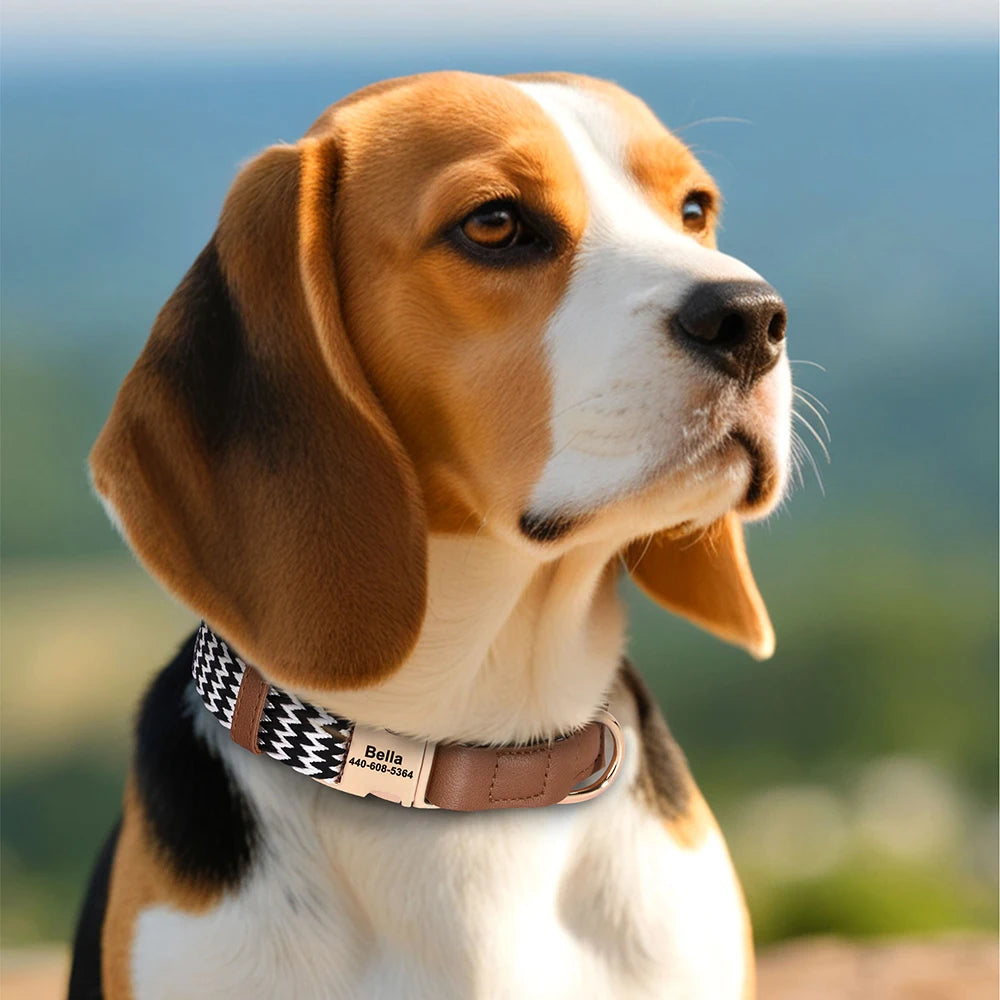 Custom Nylon Dog Collar Durable PU Leather Dog Collars Necklace Personalized Pet ID Collars for Small Medium Large Dogs Party