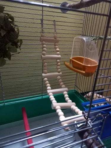 Bird Cage Feeder Parrot Birds Water Hanging Bowl Parakeet Feeder Box Pet Cage Plastic Food Container Bird Supplies 1 Pcs
