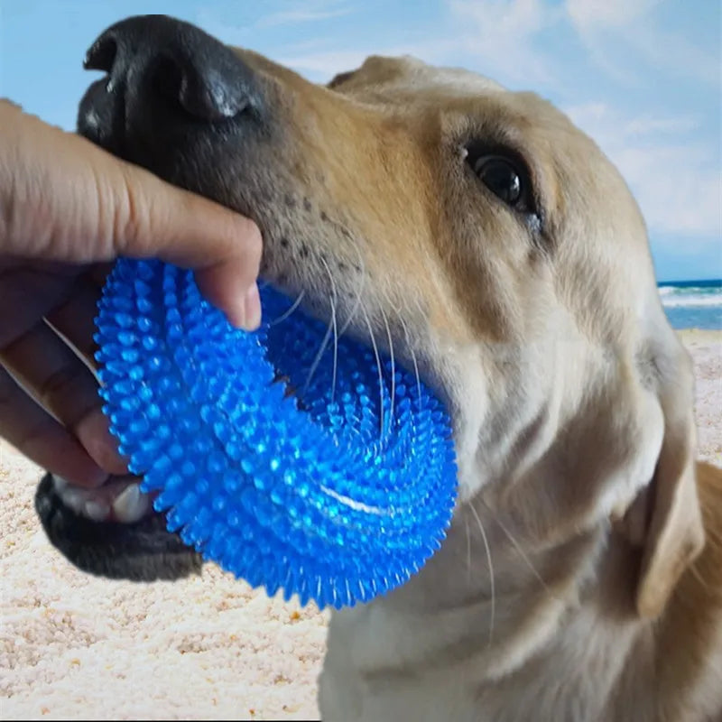 Strong Donut TPR Pet Dog Chew Toys with Squeak for Small Medium Dogs French Bulldog Corgi Border Shepherd Puppy Pets Accessories