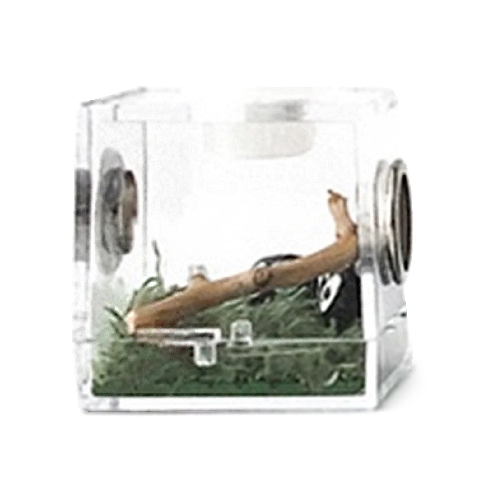Reptiles Breeding Box Terrarium Plastic Reptile Breeding Box Terrarium Cage Insect Viewing Box For Spider Cricket Snail Beetl