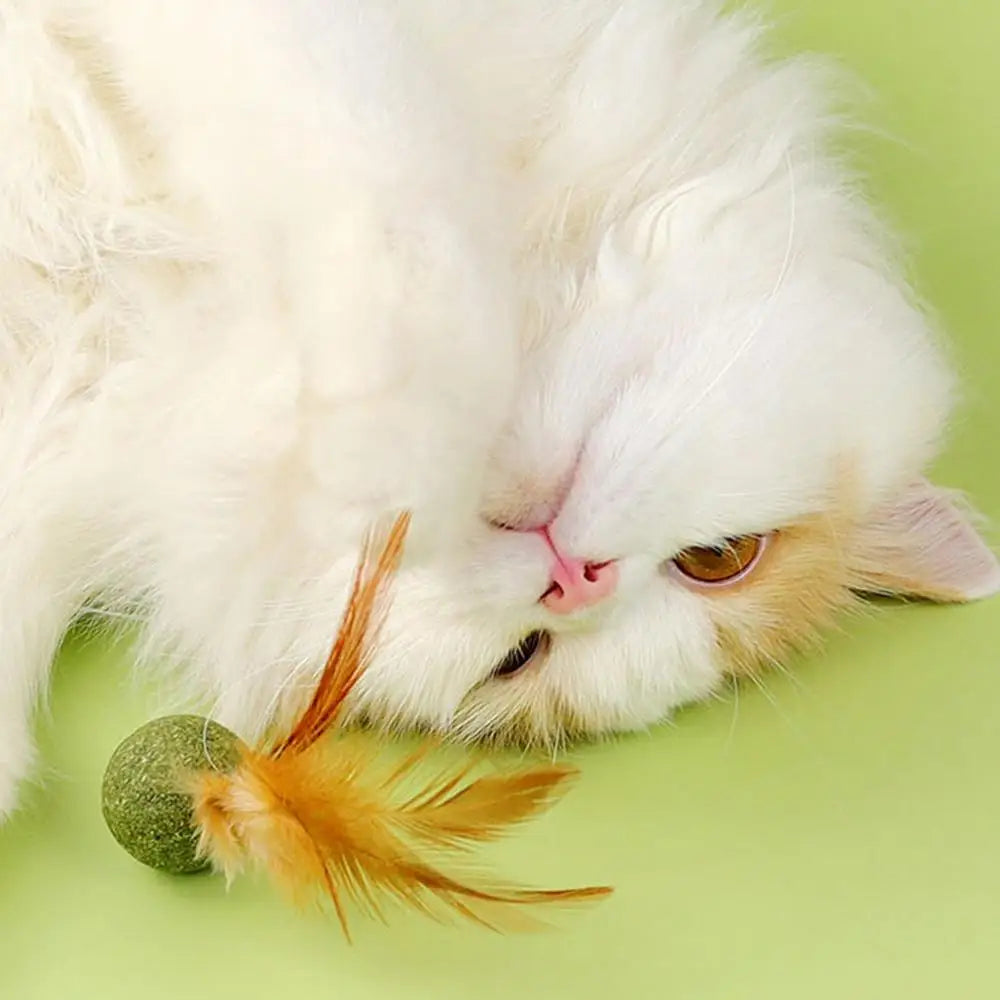 Natural Catnip Feather Balls Lickable Cat Grass Snack Kitten Scratchers Toy Treats Chewing Fresh Breath Cat Toys Cat Treats