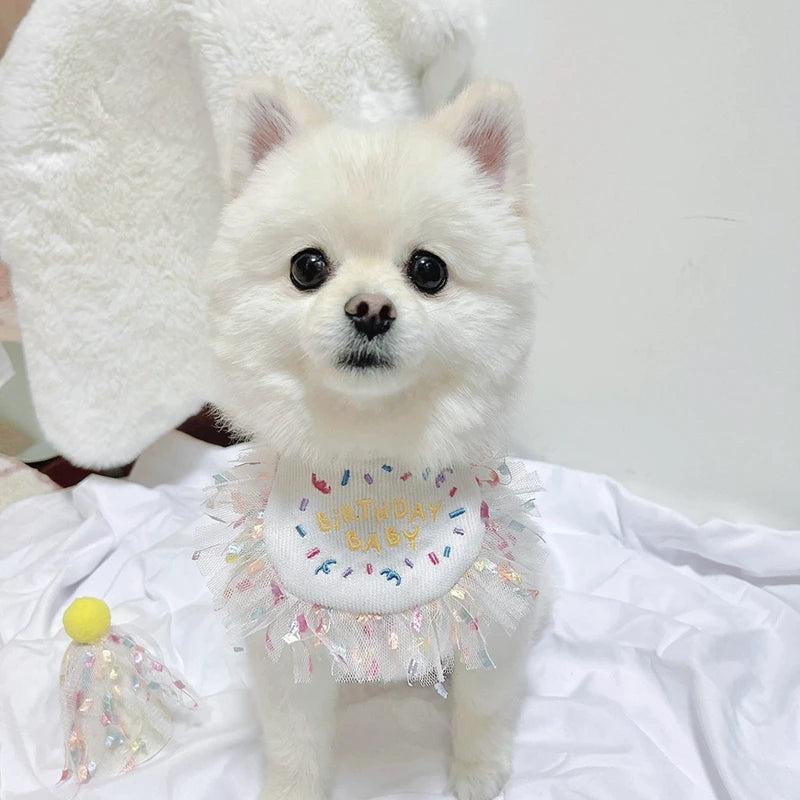 Pet Cat Dog Birthday Party Lace Suit Hat Scarf Dog Bib Saliva Towel Mesh Series Bear Birthday Jewelry Dress Up Accessories