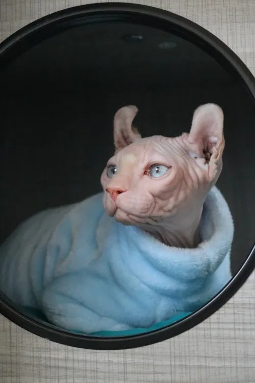 Fashionable Clothes For Cats Sphynx Cat Sweater Kitten Clothing Hound Dog Hoodie Clothes For Sphinx Cat Outfit Pet Jumpsuits