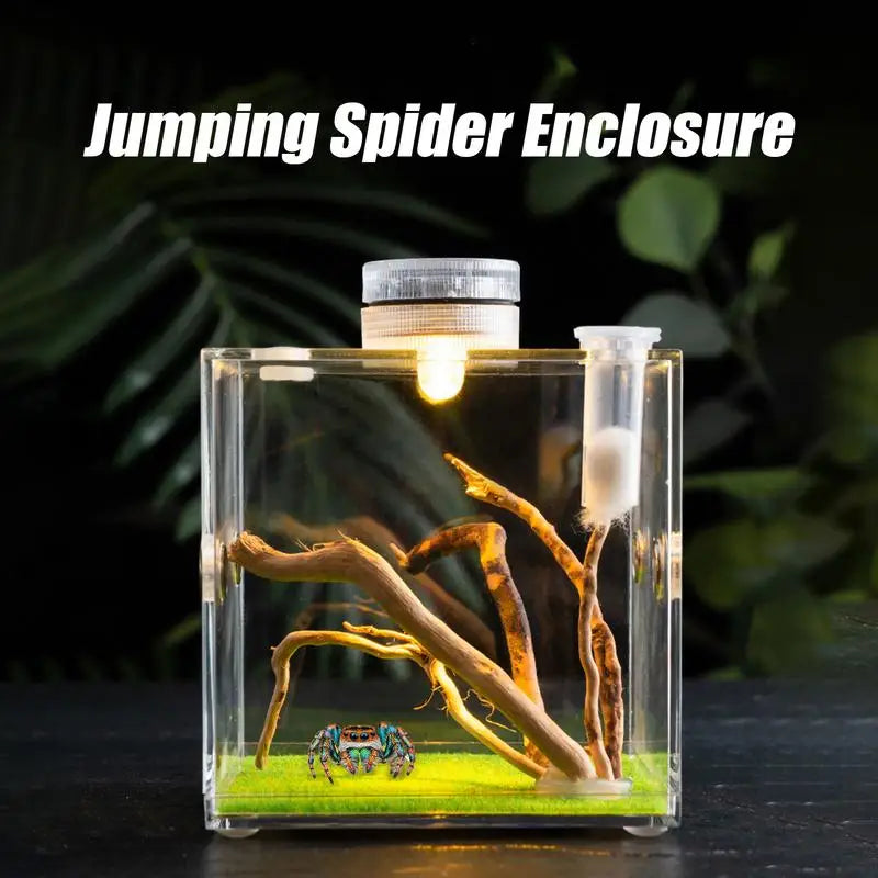 Jumping Spider Enclosure Tarantula Breeding Box Reptile Fogger Little Critters House Container Wood