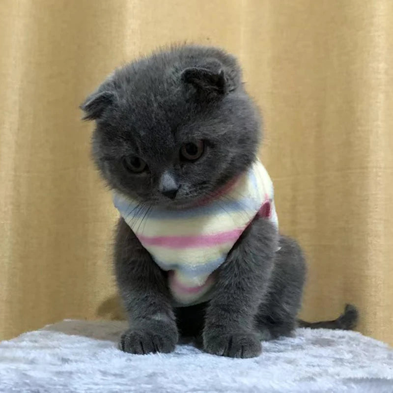 Plush Cat Rabbit Vest Cartoon Autumn Winter Pet Clothes for Kitten Puppy Bunny Guinea pig Warm Fleece Small Animals Clothing