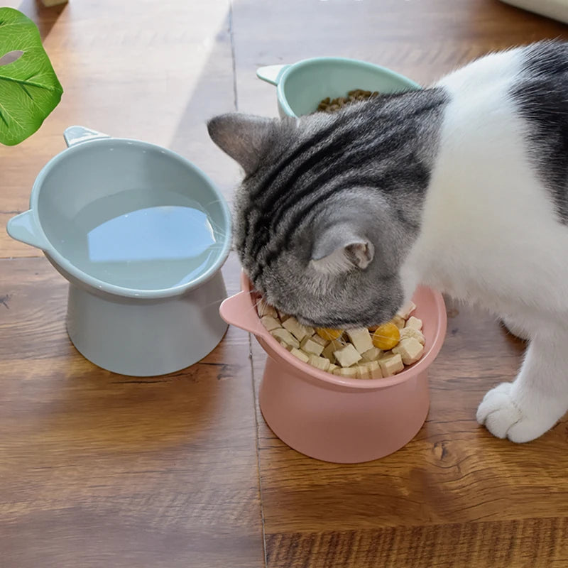 Tilted Cat Food Bowl Elevated Cat Bowl Ergonomic Cat Food Dish Anti Vomiting Raised Cat Food Bowl Non Slip for Cats Dogs