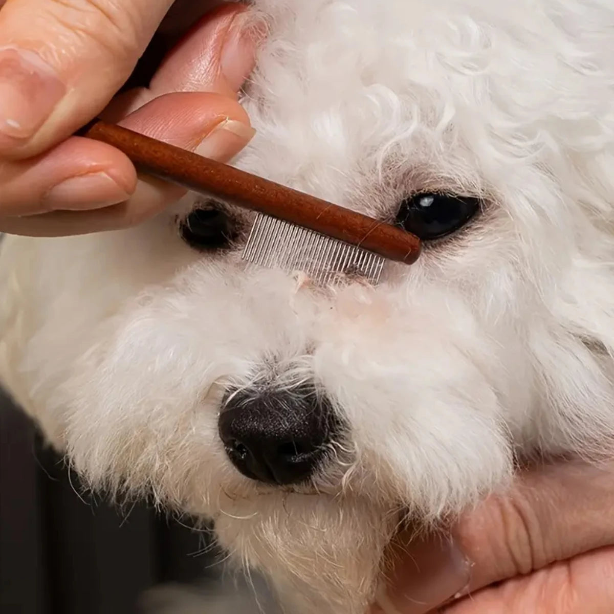 Pet Woodiness Facial Cleaning Comb Removes Tear Stains Eye-poop Comb Dog Hair Repair Scissors Cat Hair Comb Pet Clean Supplies