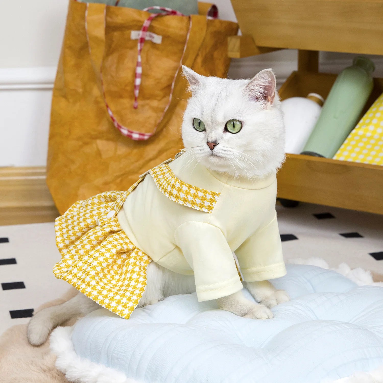 Spring Dog Cat Clothes for Cats, Luxury Brand Design Pet Cat Overalls Dress Puppy Princess Tutu Skirts Small Dog Kitten Costume