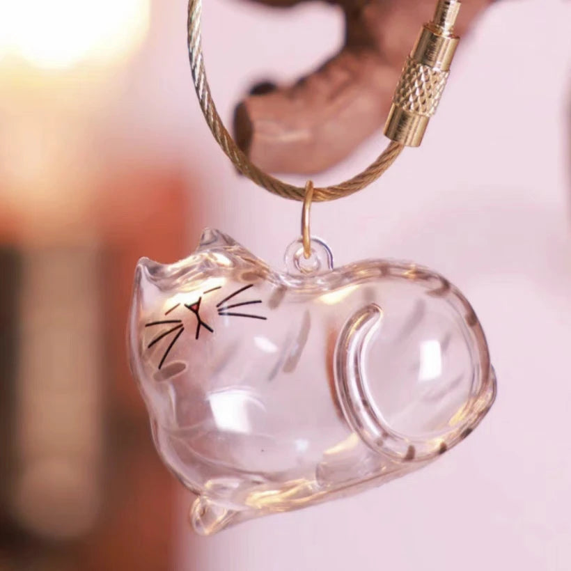 Stylish Cat Key Holder Fluffy Ball Hair Collector Transparent Case Fashionable Pet Accessories for Kitty Owners