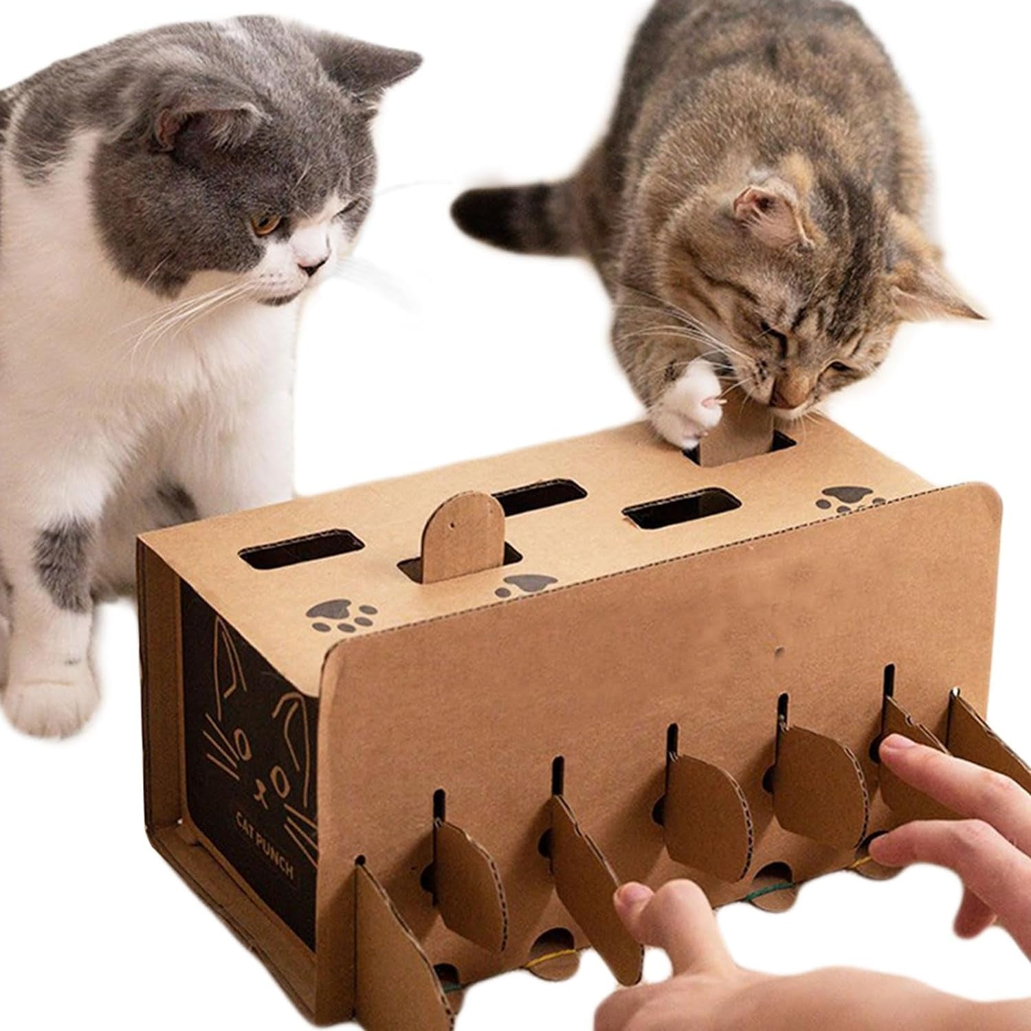 Yamyidar Pet Cat Toy, Interactive Cat Hunt Training Cat Teaser Box Puzzle Toy  Game for Cat, Whack-A-Mole